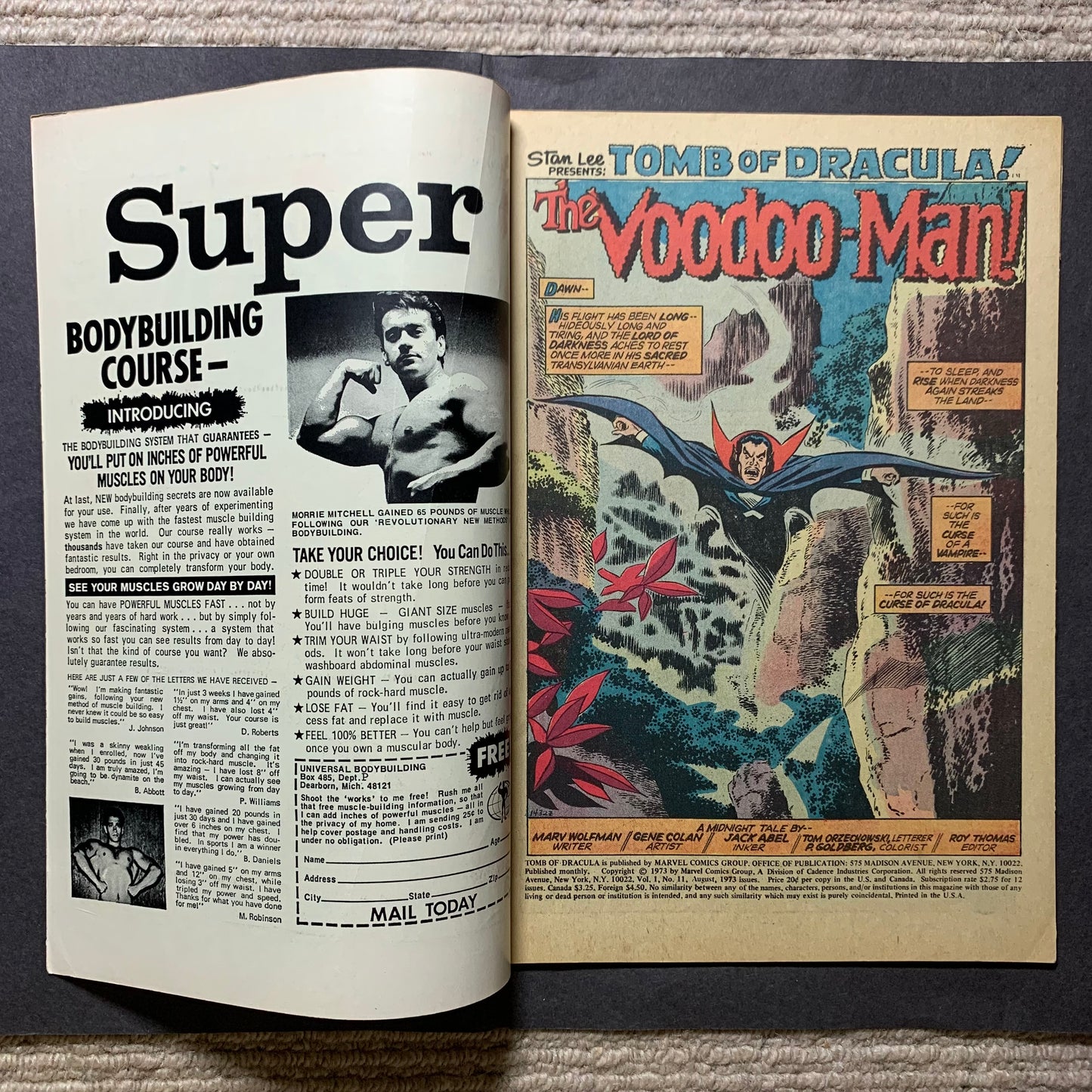 Tomb of Dracula 11/ Bronze Age marvel comics 1973
