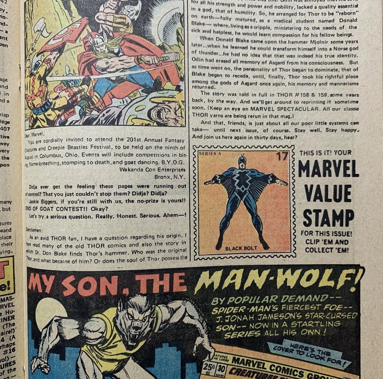 Thor 225/ Bronze Age Marvel Comics 1974 (9.2-9.4)