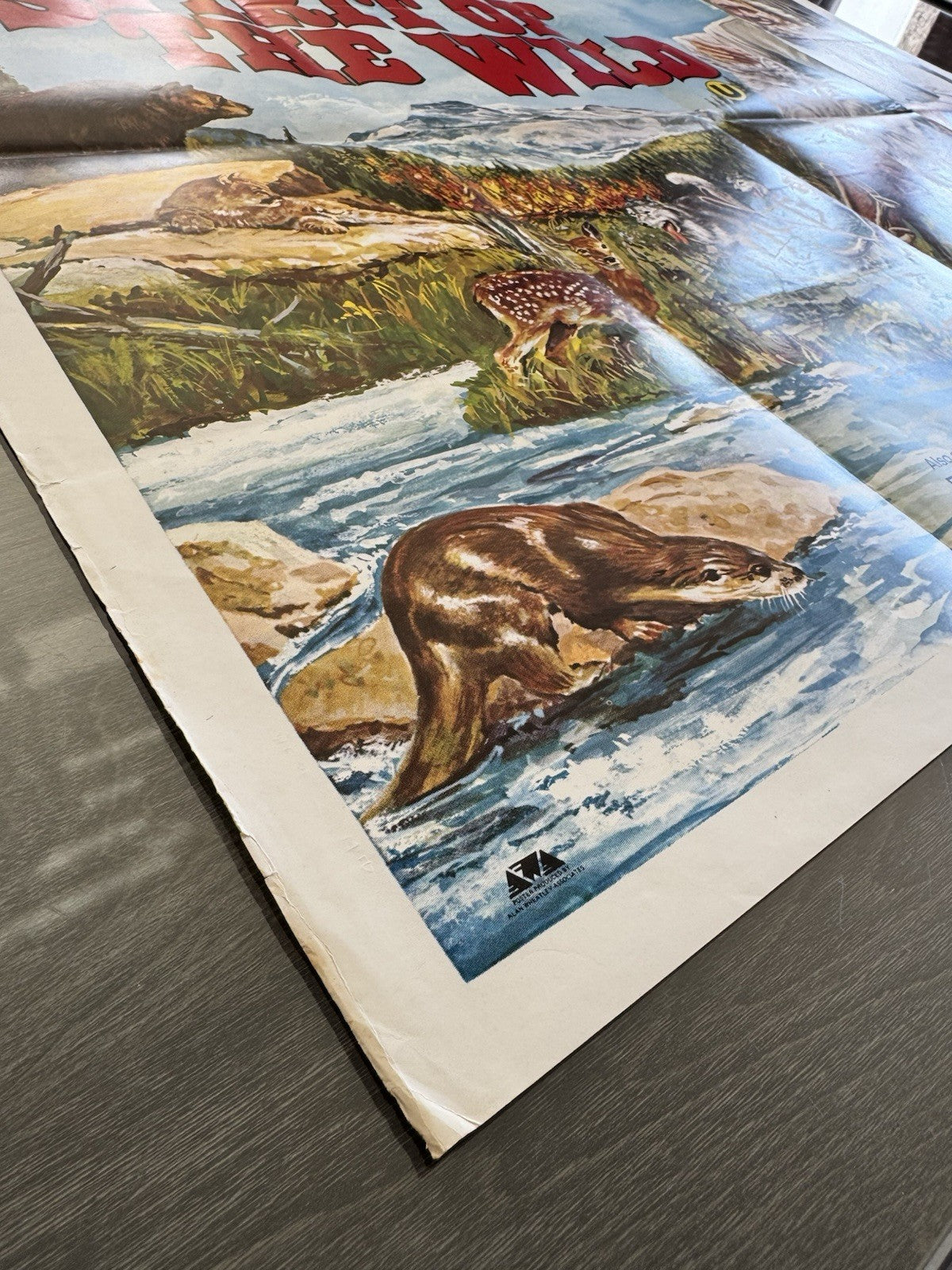 Spirit of the Wild 1974 - Original UK Quad Poster - Folded