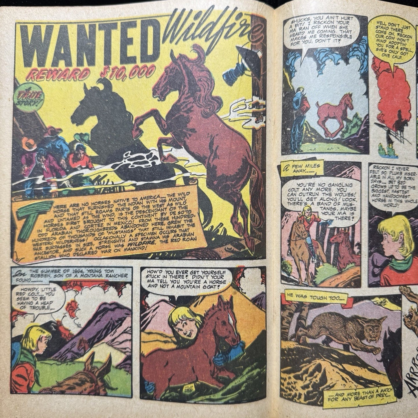 Westerner 14 - Golden Age Orbit-Wanted Comics 1948