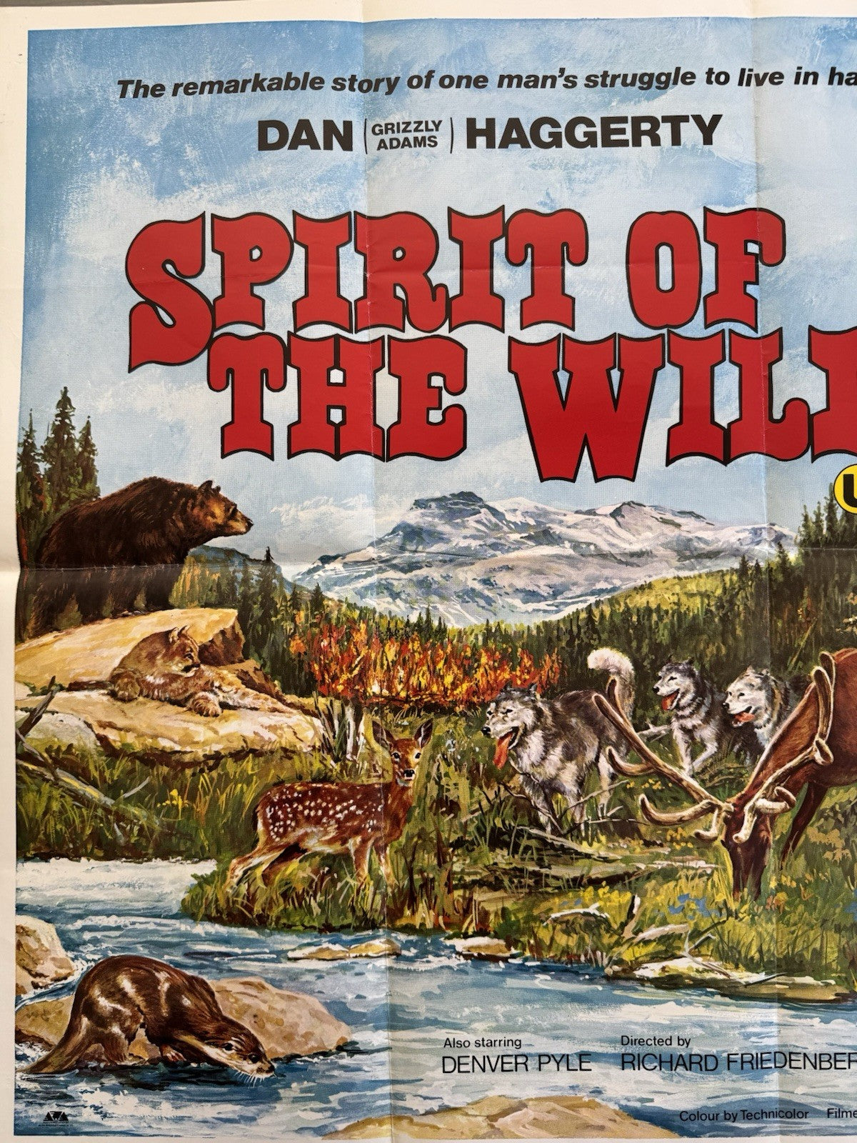 Spirit of the Wild 1974 - Original UK Quad Poster - Folded