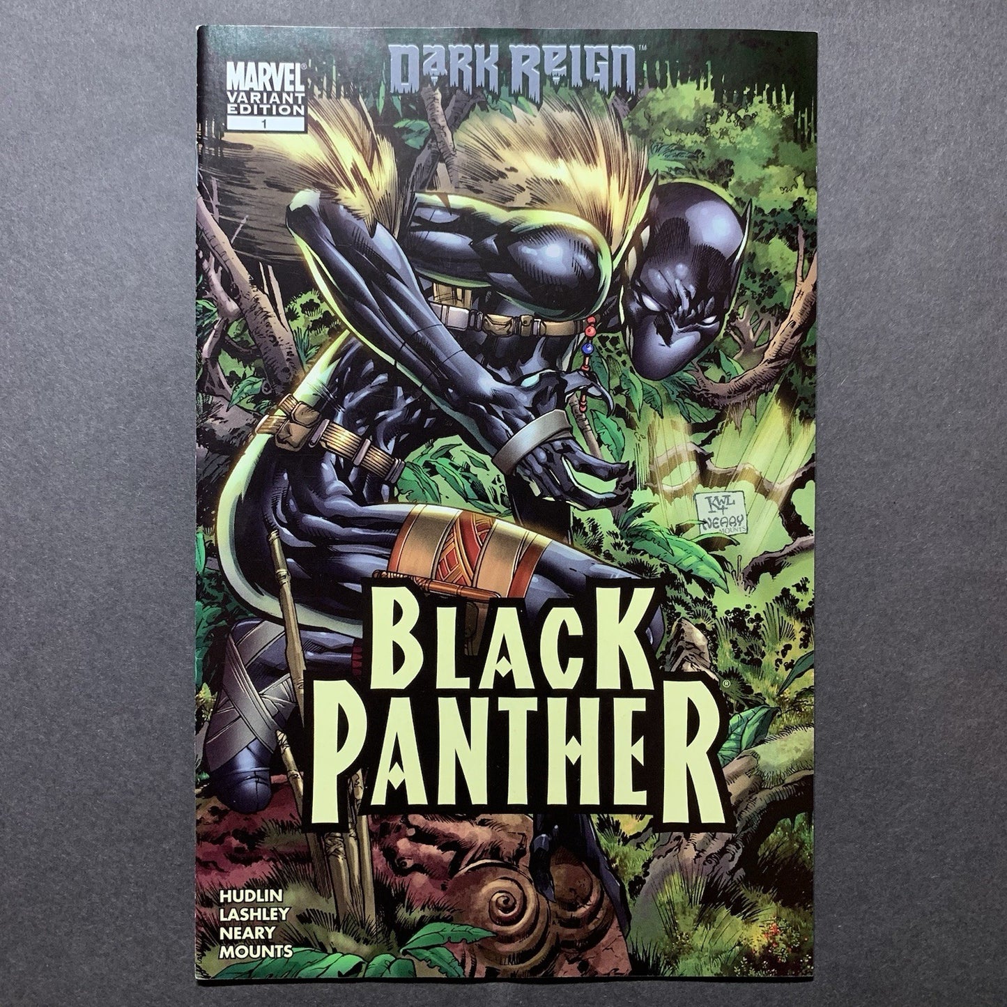 Black Panther 1-12/ Modern Age Marvel Comics 2009 Set