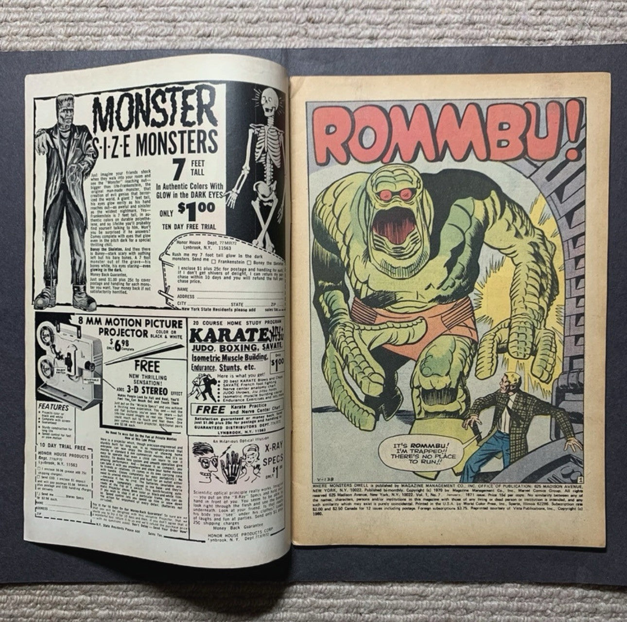 Where Monsters Dwell 7 - Bronze Age Marvel Comics 1971