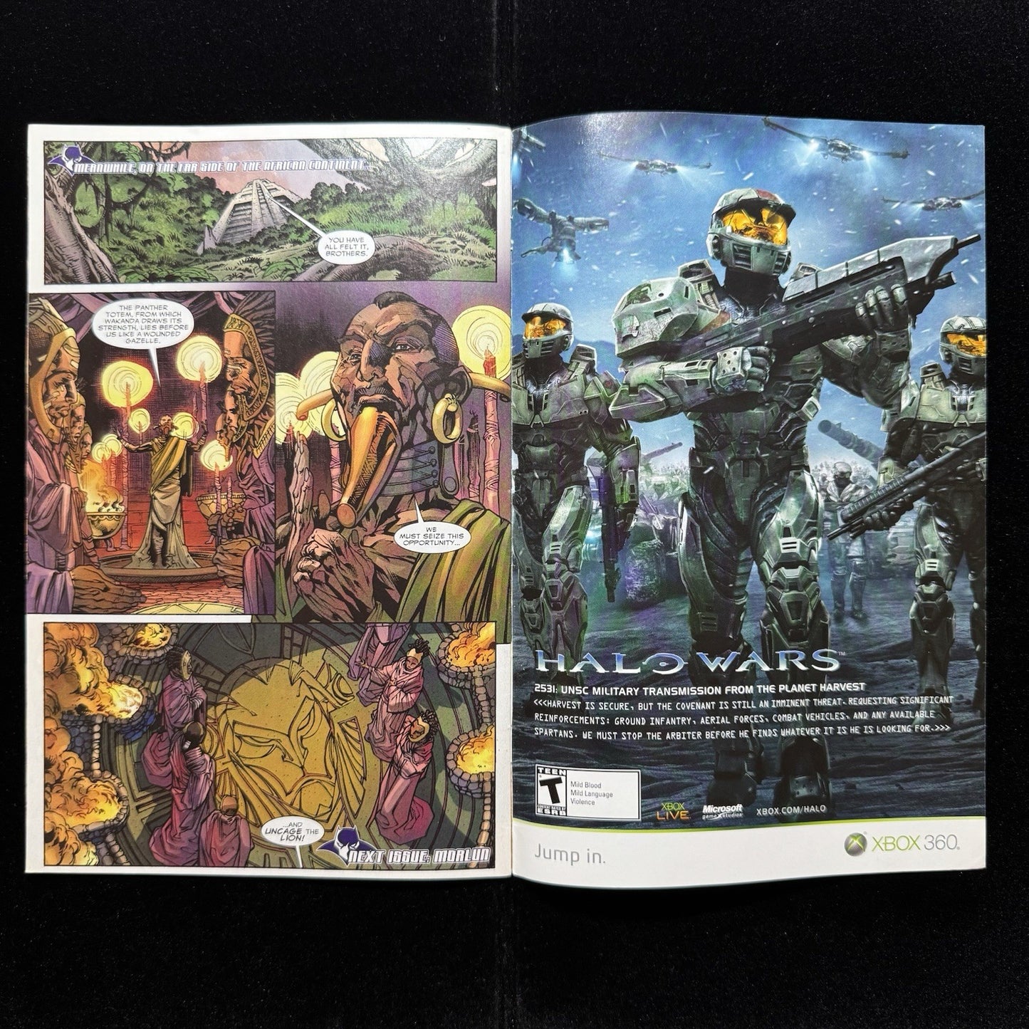 Black Panther 2 - Modern Age Marvel Comics 2009
