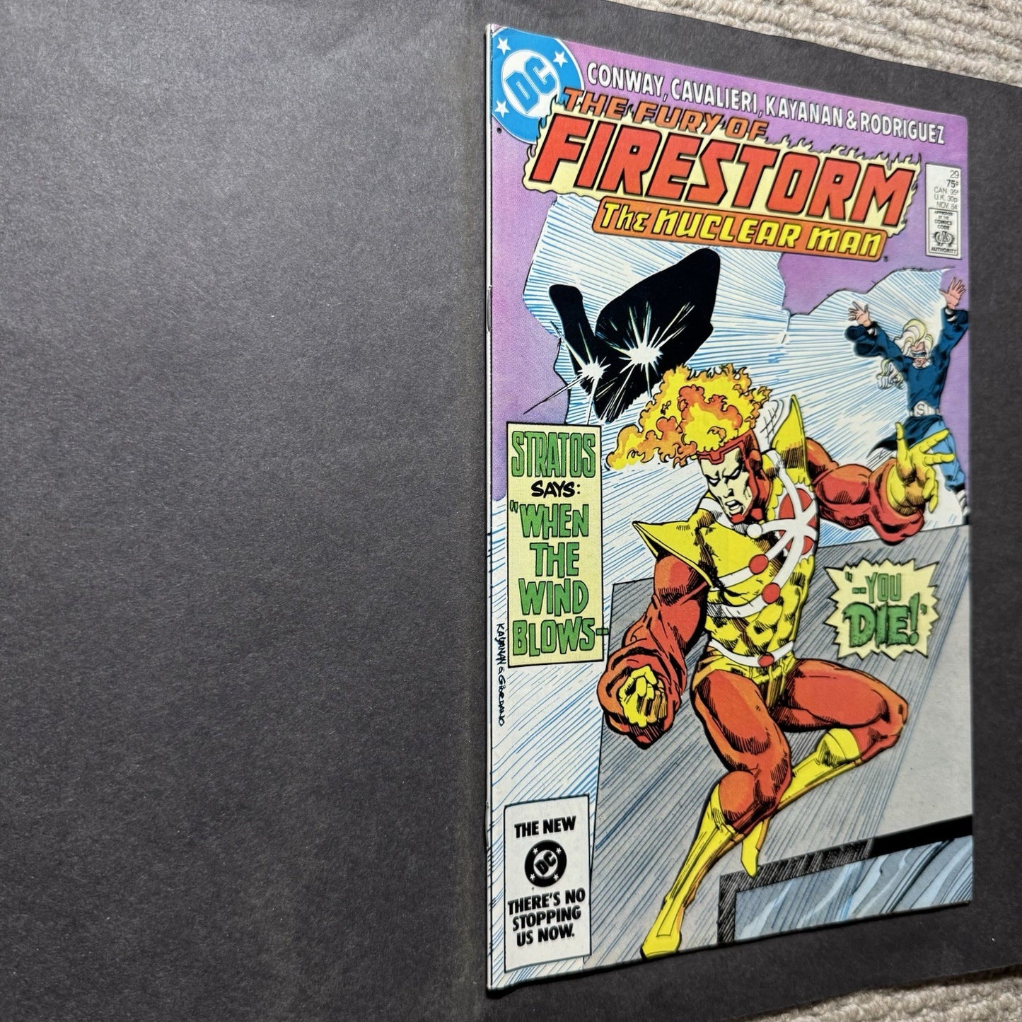 Firestorm The Nuclear Man 29 - Copper Age Dc Comics 1984
