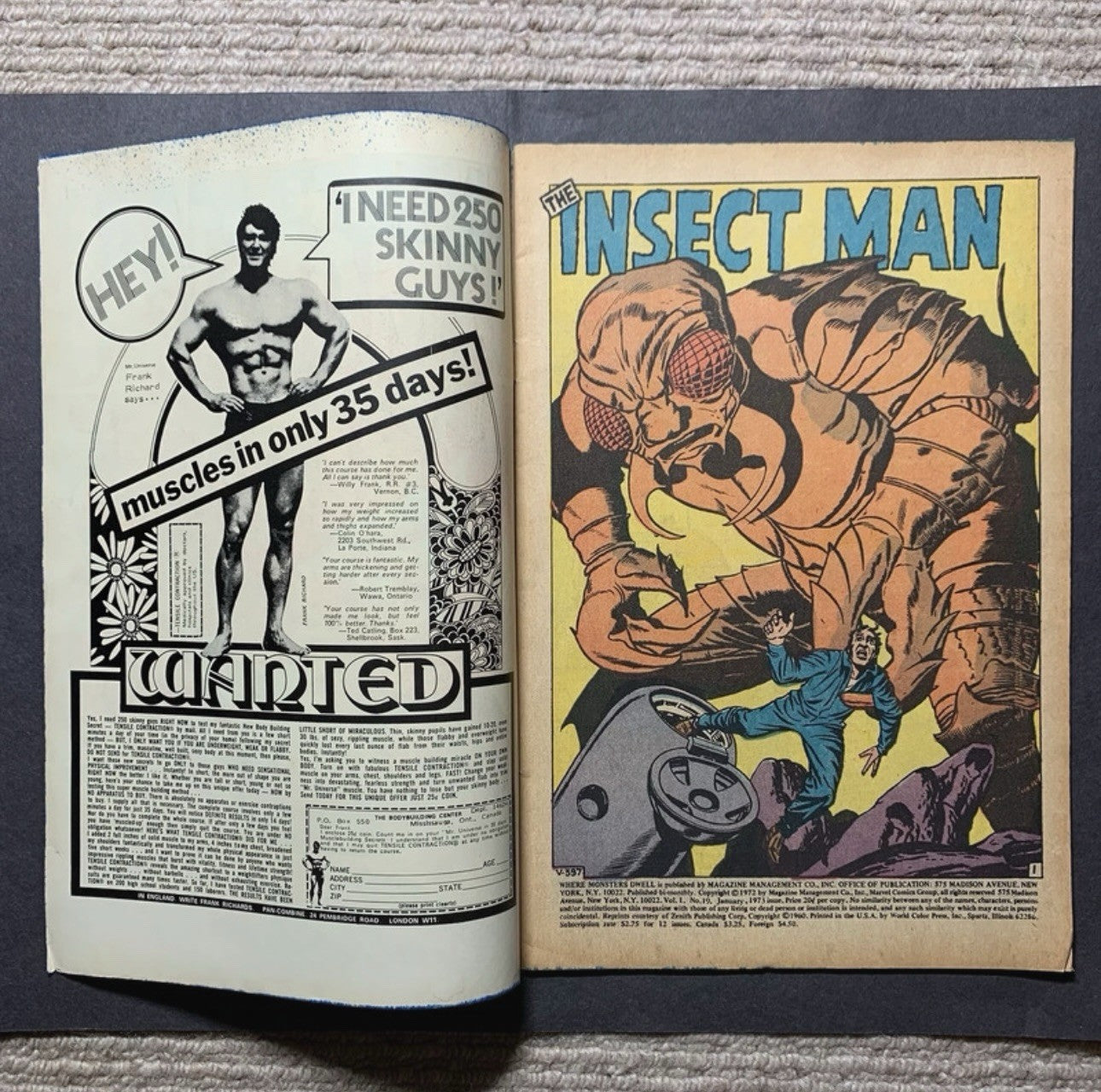 Where Monsters Dwell 19 - Bronze Age Marvel Comics 1972