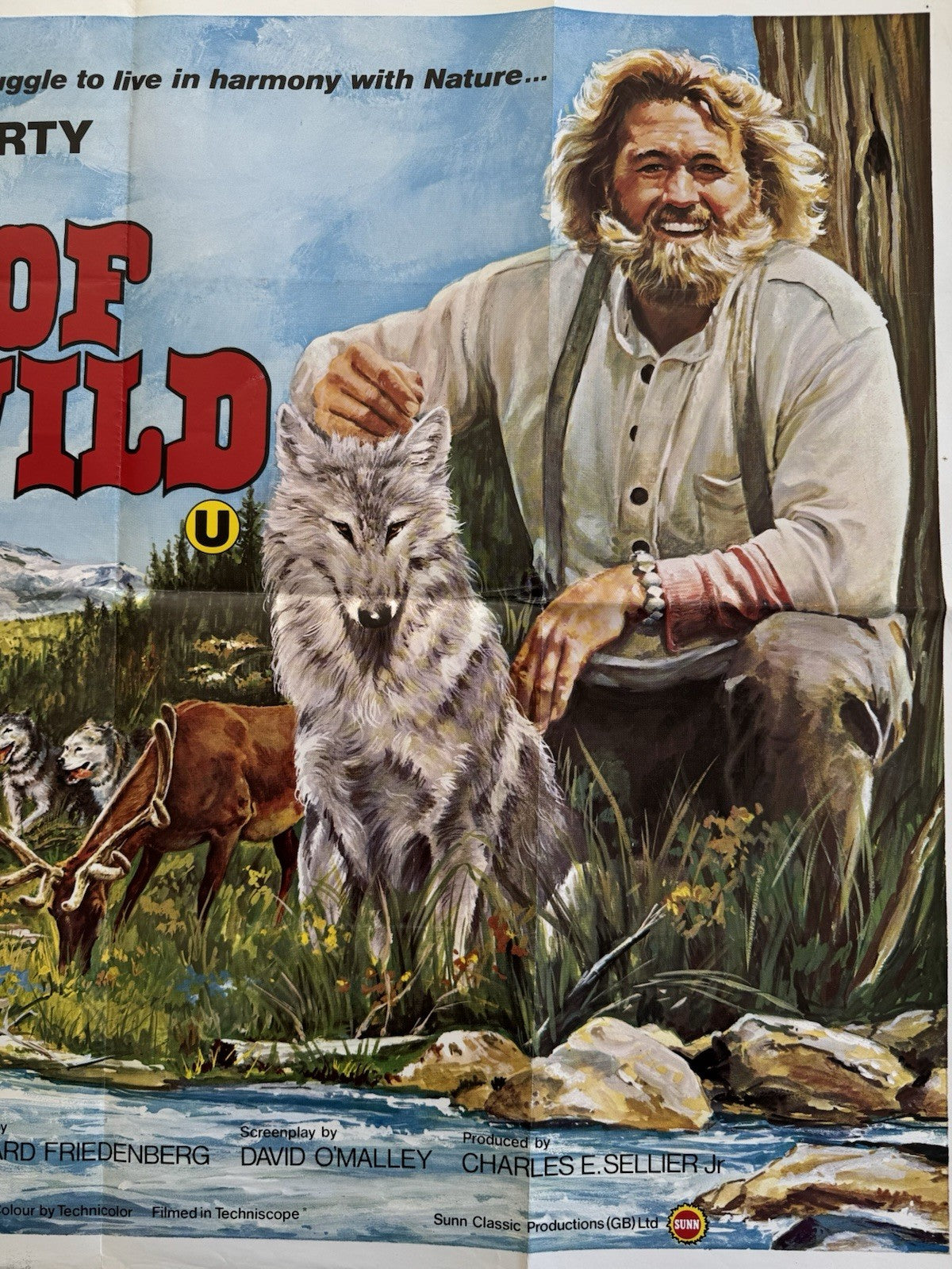Spirit of the Wild 1974 - Original UK Quad Poster - Folded