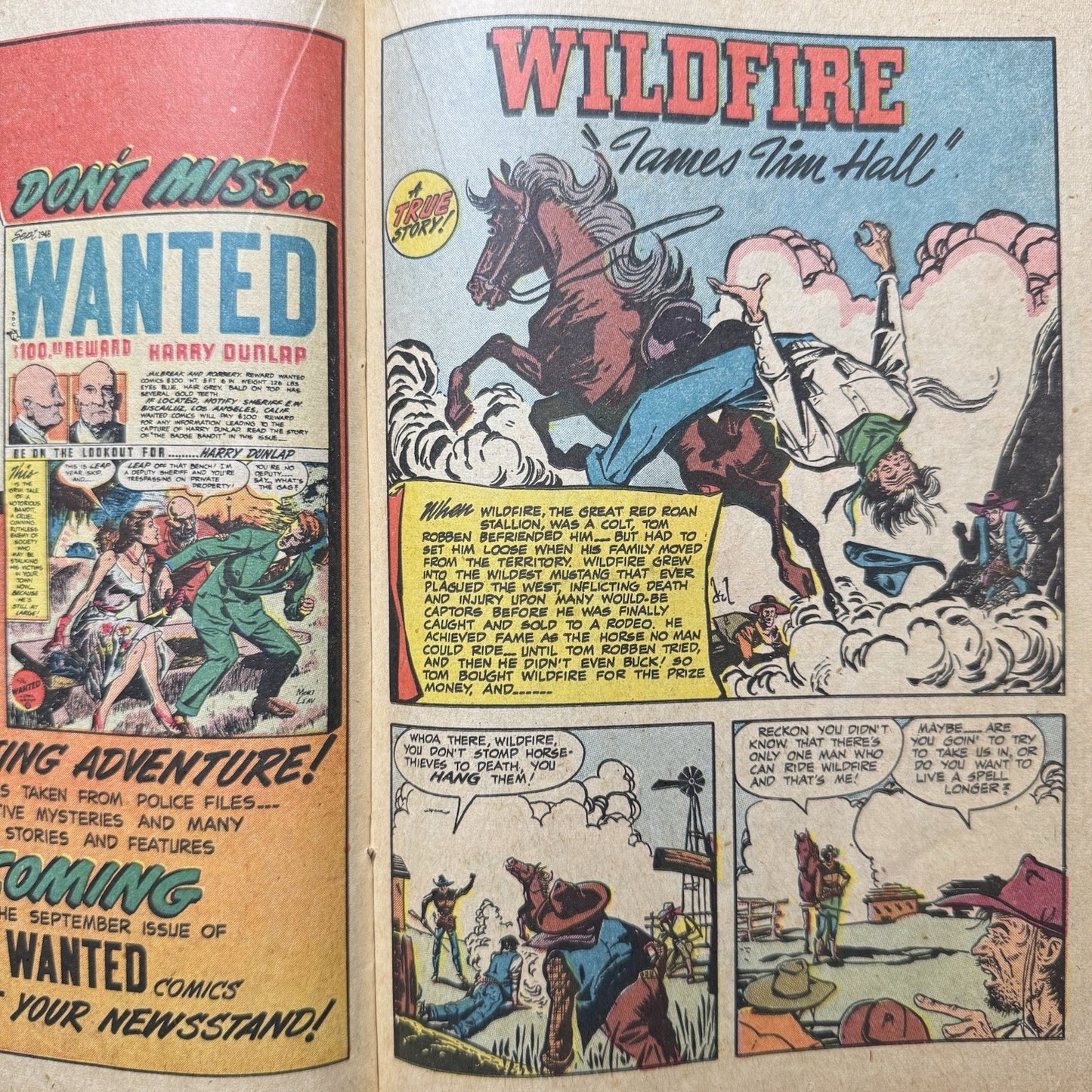 Westerner 15 - Golden Age Orbit-Wanted Comics 1948