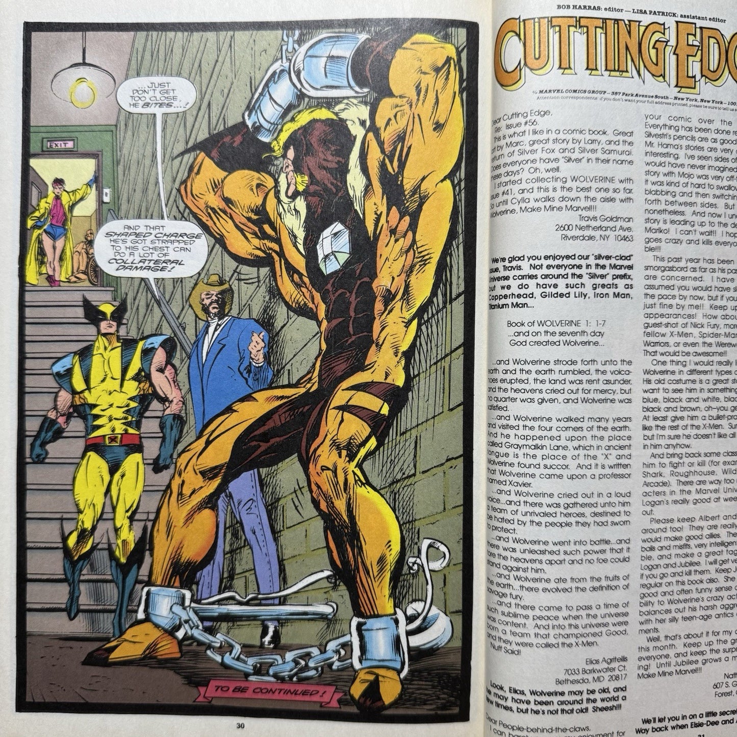 Wolverine 61 - Modern Age Marvel Comics 1992