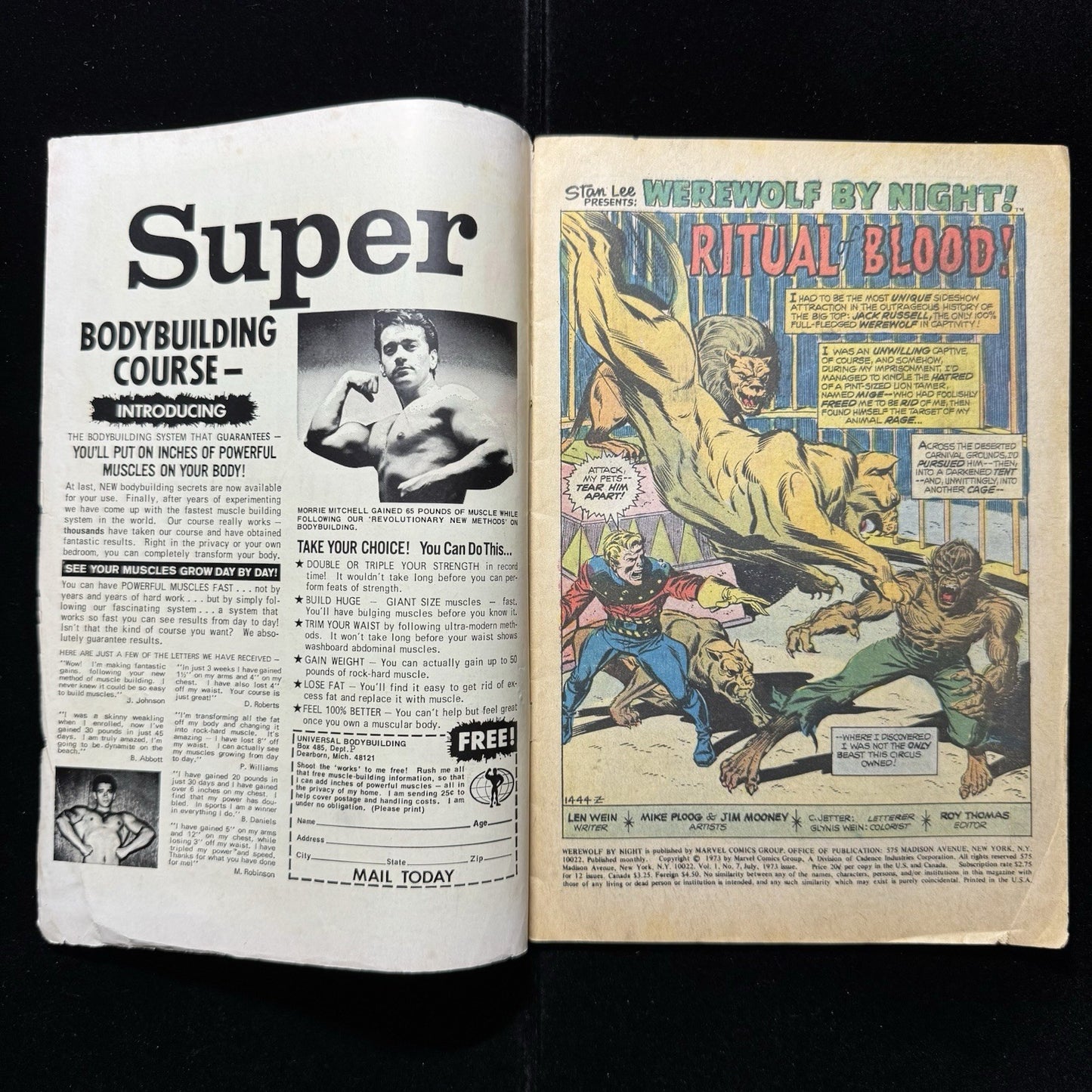 Werewolf By Night 7 - Bronze Age Marvel Comics 1973