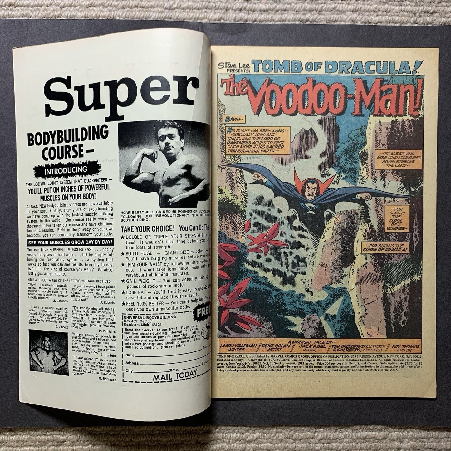Tomb of Dracula 11/ Bronze Age marvel comics 1973