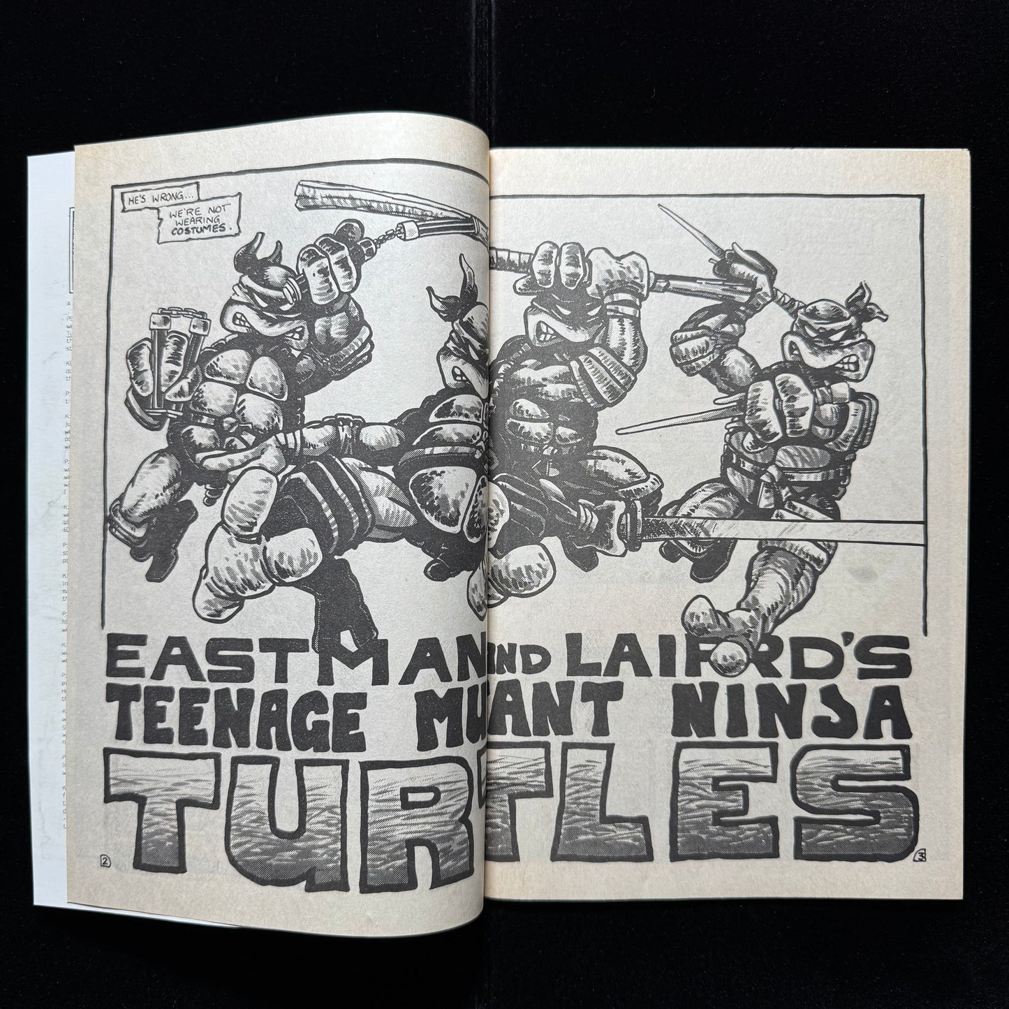 Teenage Mutant Ninja Turtles 1 - 4th Printing - Copper Age Mirage Comics 1985