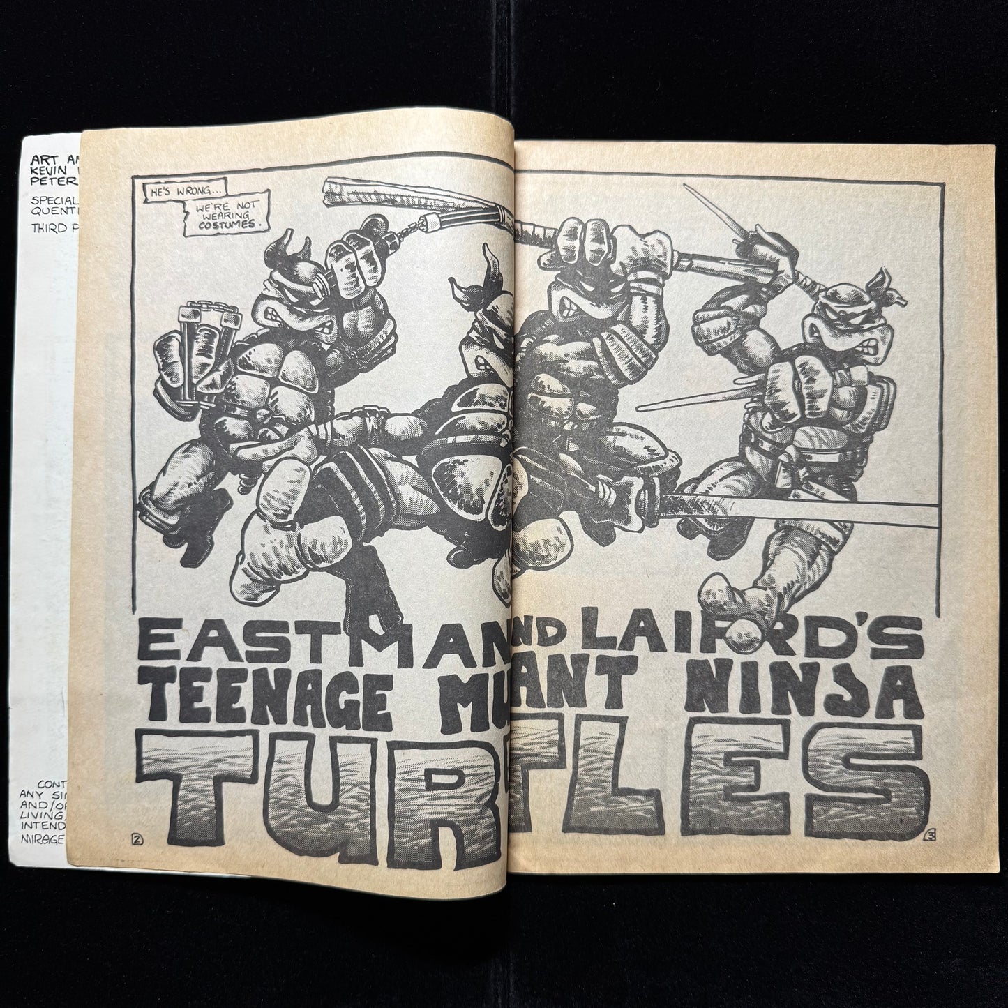 Teenage Mutant Ninja Turtles 1 - 3rd Printing - Copper Age Mirage Comics 1985