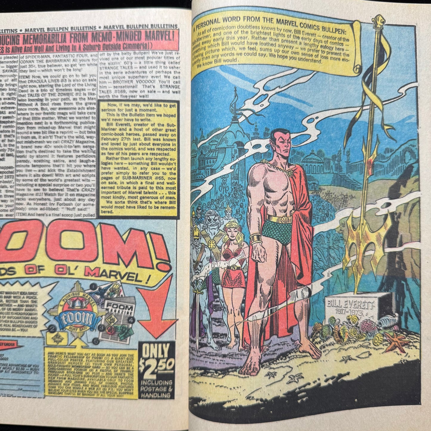 Sub-Mariner 65 - Bronze Age Marvel Comics 1973