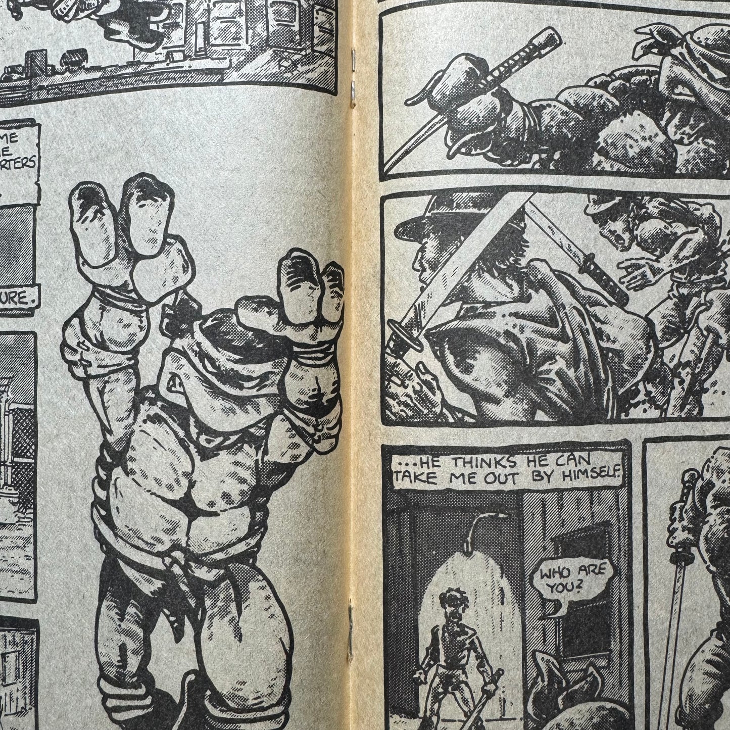 Teenage Mutant Ninja Turtles 1 - 3rd Printing - Copper Age Mirage Comics 1985