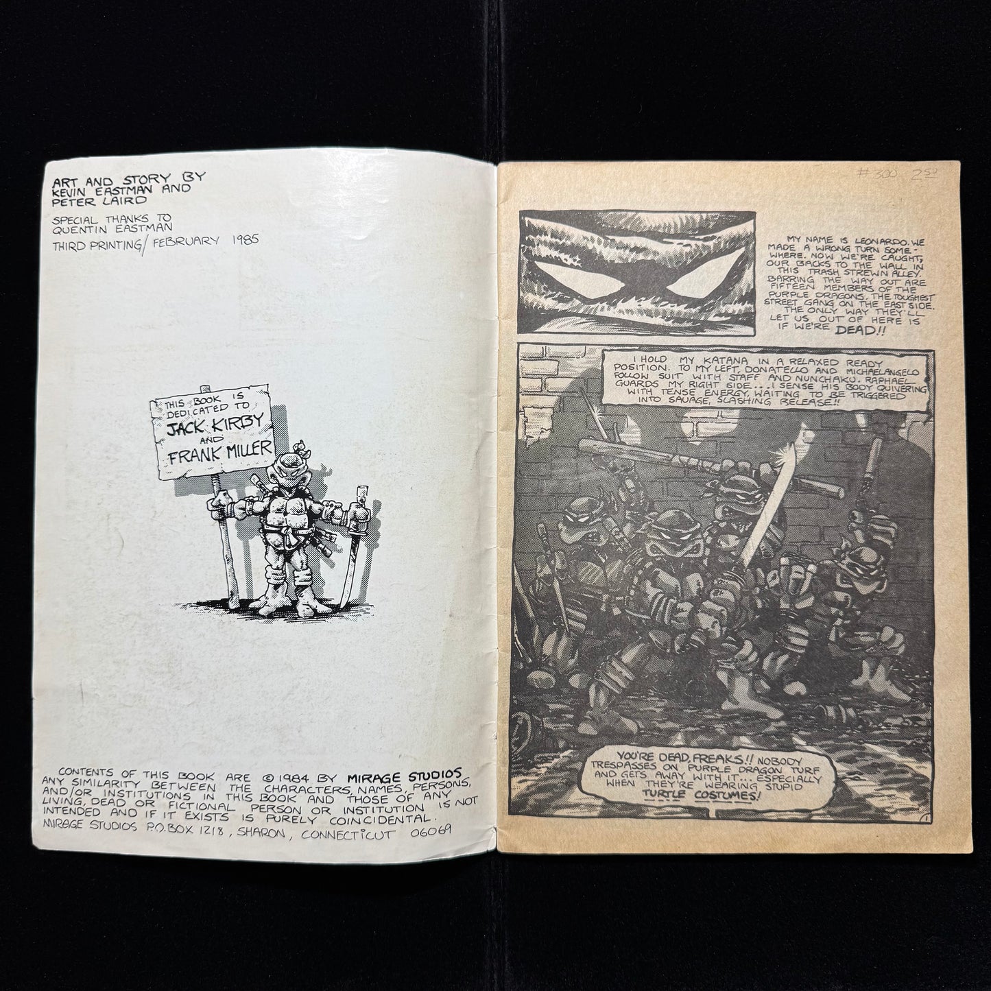 Teenage Mutant Ninja Turtles 1 - 3rd Printing - Copper Age Mirage Comics 1985