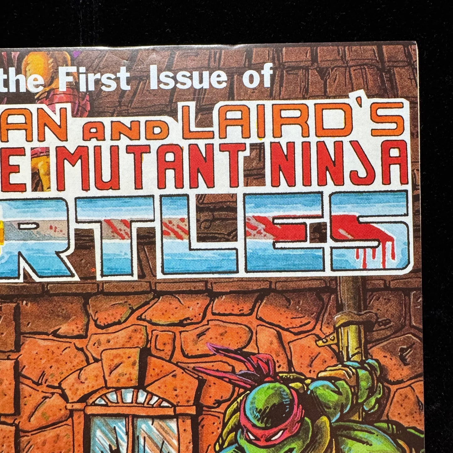 Teenage Mutant Ninja Turtles 1 - 4th Printing - Copper Age Mirage Comics 1985