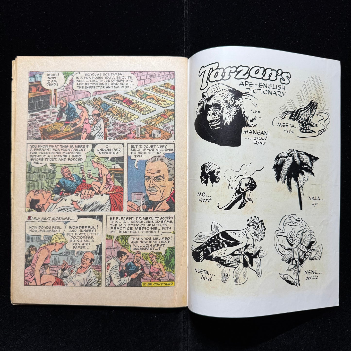 Tarzan Of The Apes 169 - Silver Age Dell Comics 1967